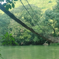 Kambadaga